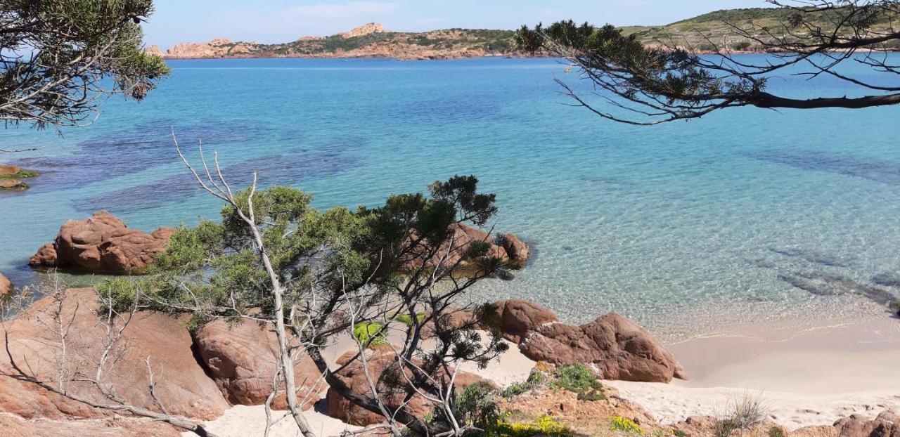 Mare Natura Confort... Il Mio Paradiso In Sardegna Isola Rossa Eksteriør billede