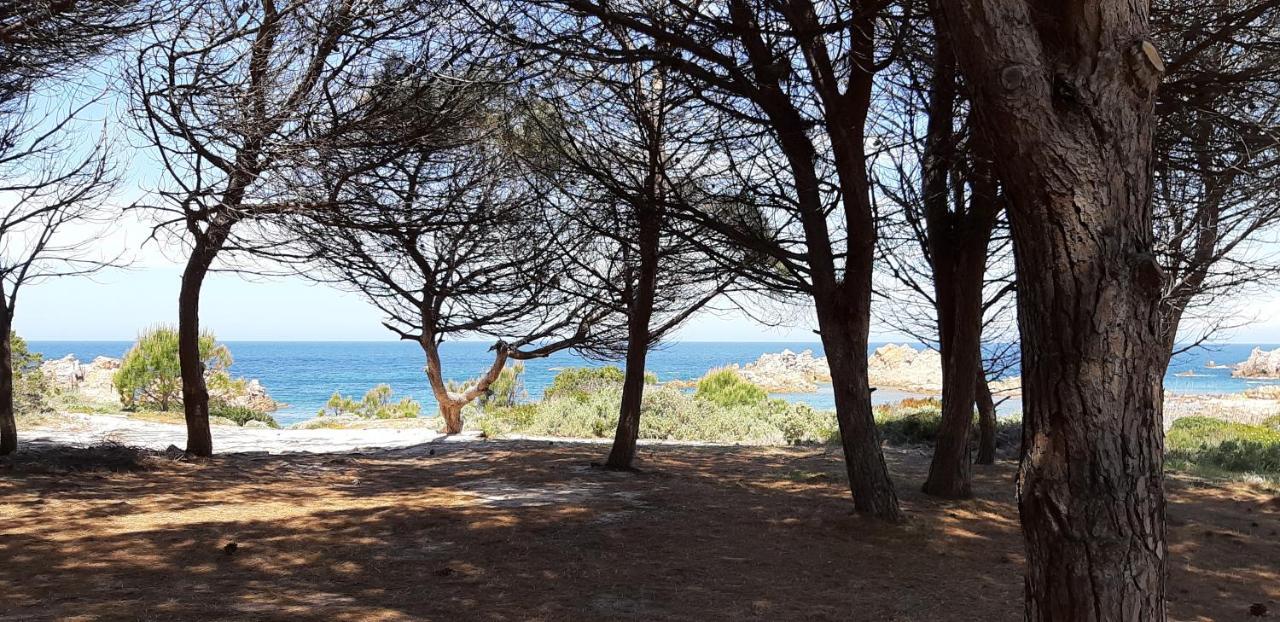 Mare Natura Confort... Il Mio Paradiso In Sardegna Isola Rossa Eksteriør billede